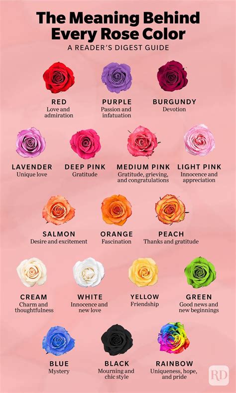 17 Rose Color Meanings to Help You Pick the Perfect Bloom Every Time ...