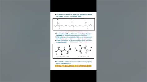 Peptide Bond formation, Structure, resonance & torsion angles complete notes by VEX - YouTube