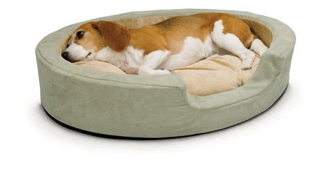 Best Heated Dog Beds: 4 Warm & Cuddly Beds for Your Pup