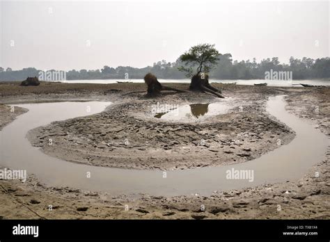 Damodar river, West Bengal, India Stock Photo - Alamy