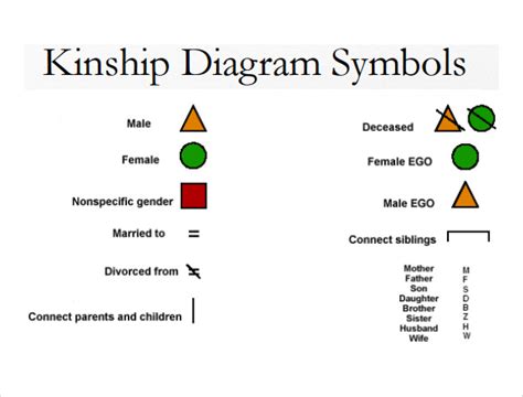 FREE 9+ Sample Kinship Diagram Templates in PDF | MS Word