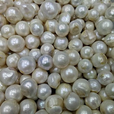 Benefits of wearing a pearl Gemstone. Gemstone Astrology