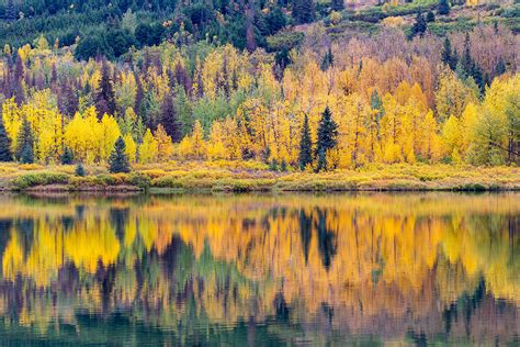 Guide to Experiencing Alaska’s Fall Colors - Gray Line Alaska