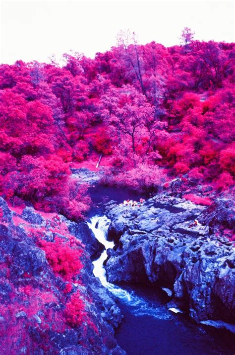 Infrared Film Photography - IR Film How To, Tips & Filters - The Darkroom