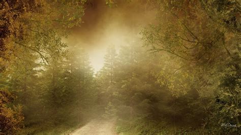 Misty Autumn Forest Path Wallpapers - Wallpaper Cave