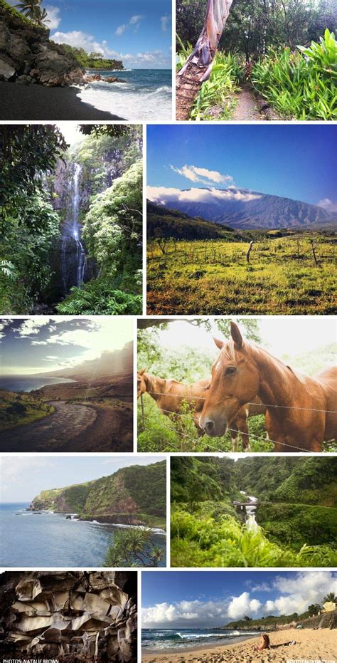 Road to Hana Tours | Book Trips to Waterfalls, Black Sand Beach & More!