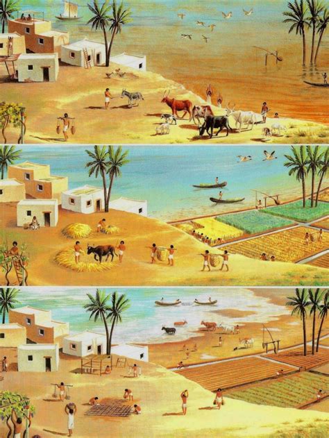 Farming in Ancient Egypt | Fotos de egipto, Egipto, Egipto antiguo