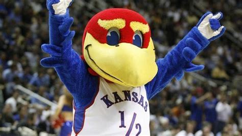 KU mascot’s tweet seen as symbol of football team’s woes | The Kansas City Star