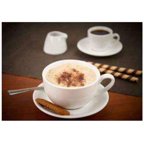 6 Cappuccino Cups 16oz