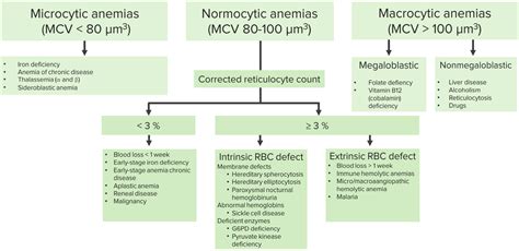 Different Types Of Anemia