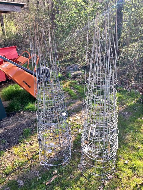 Tomato Cages for sale in Augusta, Ohio | Facebook Marketplace