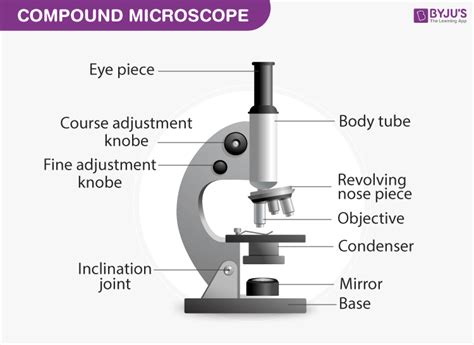 [DIAGRAM] Leica Compound Microscope Diagram - MYDIAGRAM.ONLINE