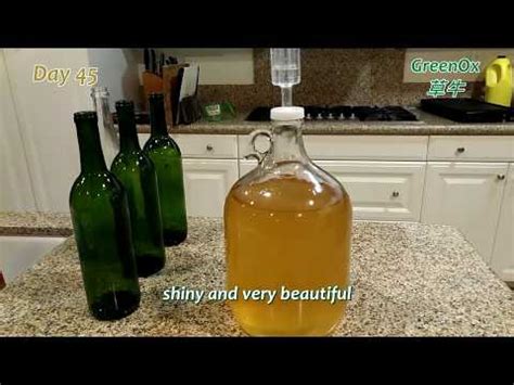 Apple Wine Recipe 5 Gallon : Top Picked from our Experts