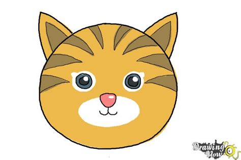 How to Draw a Cat Face - DrawingNow