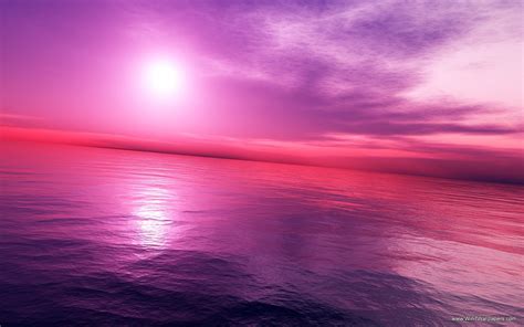 🔥 Free Download Pink Sunset Wallpaper Hd by @kwagner35 | WallpaperSafari