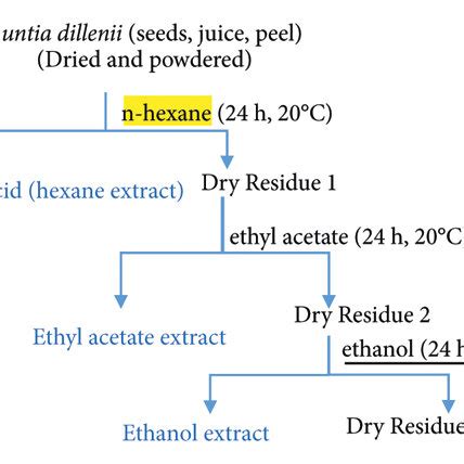 Maceration extraction process. | Download Scientific Diagram