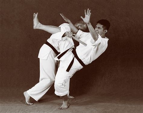 Hapkido photos of Master Marc Tedeschi performing Hapkido techniques ...