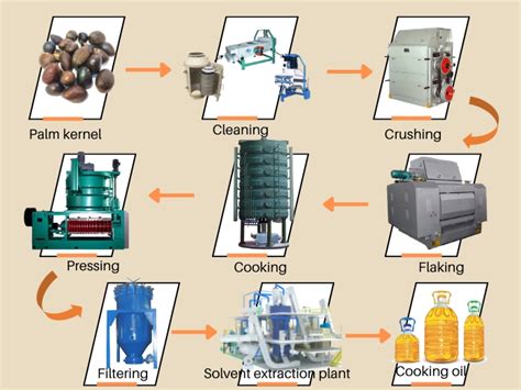 What are the extraction methods of palm kernel oil? What are their different?_FAQ