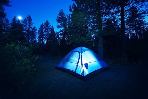 Free Photo | Forest camping - tent