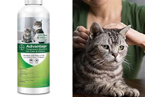 Flea Shampoo for Cats: 5 Best of 2021 for Cats & Dogs [Quick Relief]