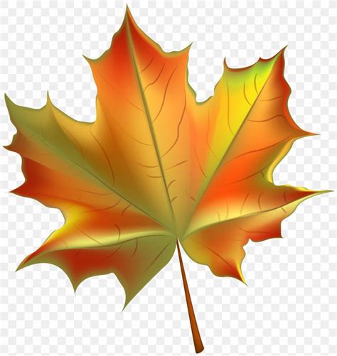 Autumn Leaf Color Clip Art, PNG, 6614x7000px, Autumn Leaf Color, Autumn, Color, Deciduous, Green ...