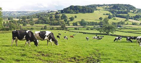 The Co-operative launches farming groups in support of British agriculture