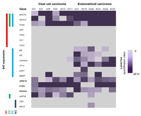 Correlation with immunohistochemical (IHC) markers. An expression... | Download Scientific Diagram