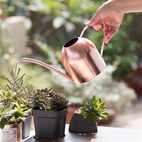 Small Watering Can For Indoor Plants