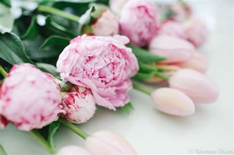 How To Make A Peony + Tulip Bouquet | Mommy Diary