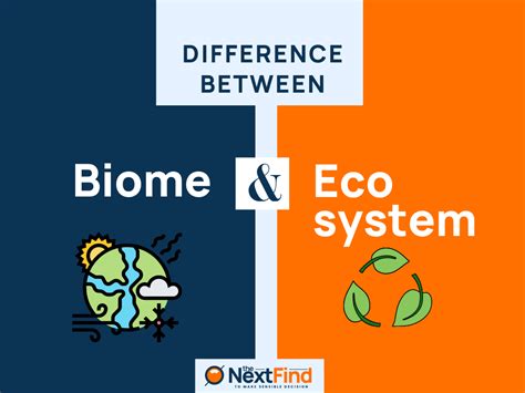 20+ Differences Between Biome And Ecosystem