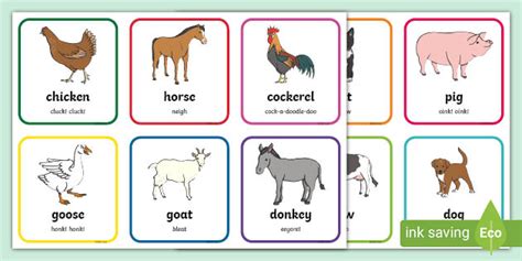 Farm animal flashcards | Twinkl resources (Teacher-Made)