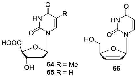 The structures of analogues of pyrimidine nucleosides (64-66). | Download Scientific Diagram