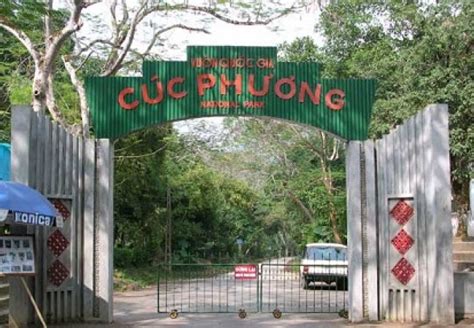 Daily tour – Cuc Phuong National Park