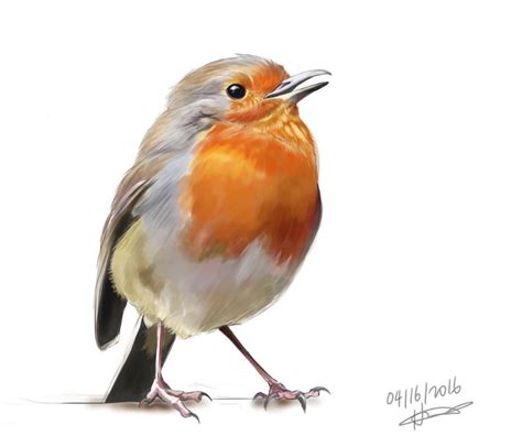 Robin Color practice by haeunee2 on DeviantArt