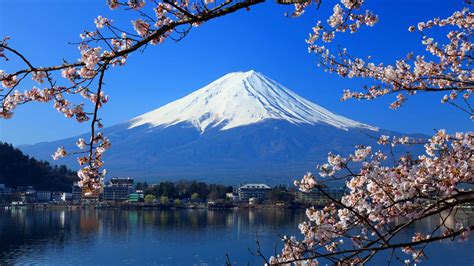 Spring Flower Garden Mount Fuji Lake Kawaguchi Wallpapers - Wallpaper Cave