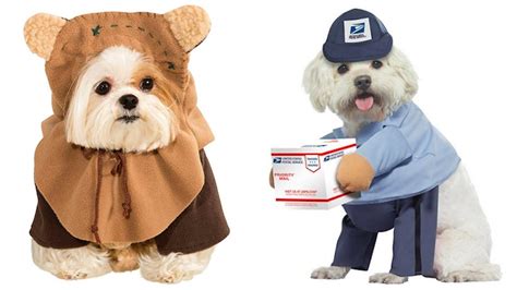 8 Cute Dog Costumes For Halloween 2019 That'll Make You Swoon