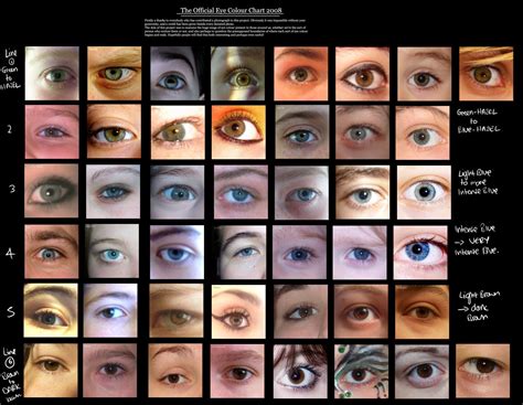 an overview of eye color percentages across the world mississippi eye ...