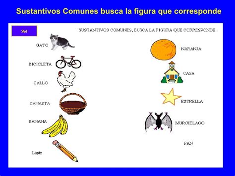 Actividades 2b Sustantivos Comunes Y Orden Alfabetico