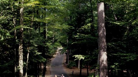 Interlochen State Park | Michigan