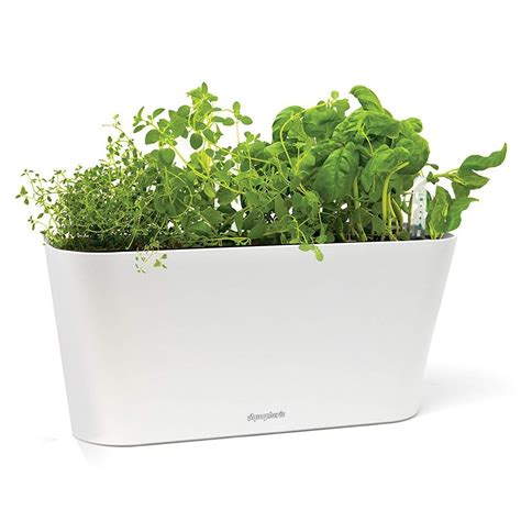 10 Best Indoor Herb Gardens for 2021 - Indoor Herb Garden Kits