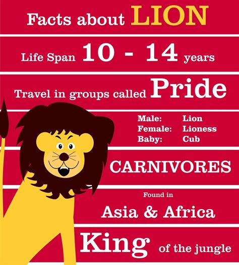 Interesting facts about lion for kids education Lion Facts For Kids, Lions For Kids, Science ...