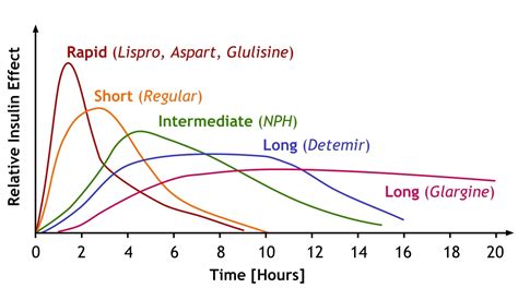 Lantus Insulin Peak Times Chart - Best Picture Of Chart Anyimage.Org