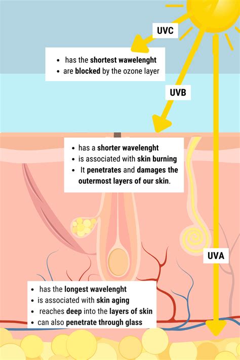 The effect of UV-radiation on the skin - Gaia Naturelle