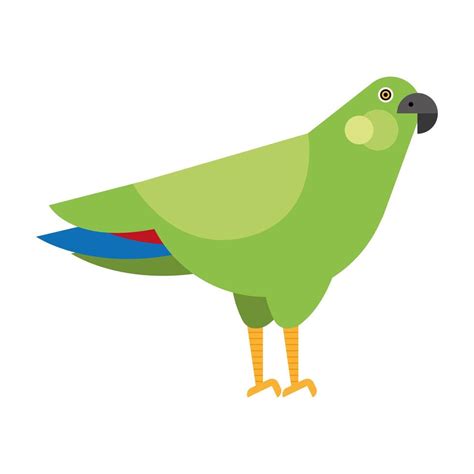 green parrot exotic bird 6165644 Vector Art at Vecteezy