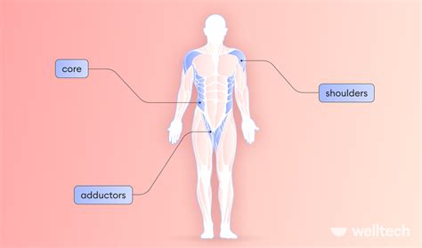 How to Do the Copenhagen Plank: Technique and Popular Progressions - Welltech