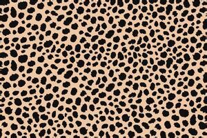 Leopard Print Vector Art, Icons, and Graphics for Free Download