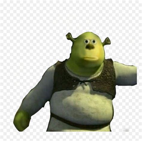 #cursed #meme #shrek #mikewazowsky #mike #wazowski - Shrek Mike Wazowski Meme, HD Png Download ...