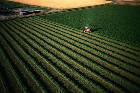 Alfalfa Hay Harvest | Agri-Pac