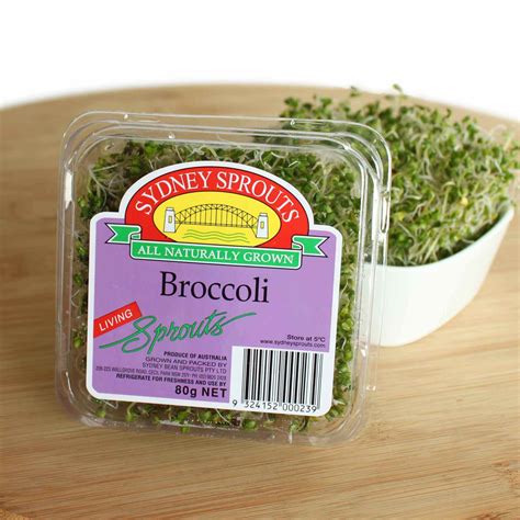 Broccoli sprouts – Sydney Sprouts