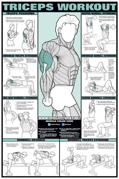 Triceps Workout for Men - Barbell Dumbbell Seated Exercise Gym - Yeah We Train ! - Workouts ...